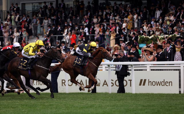 Perfect Power (No.12) won for Fahey and Hanagan last year
