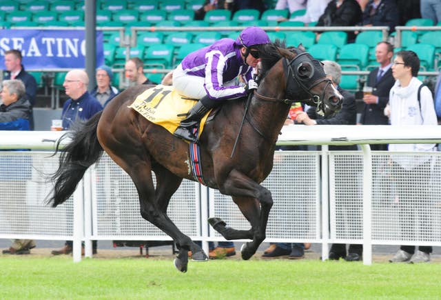 US Navy Flag winning at the Curragh last year