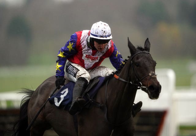 Come On Teddy will go to Cheltenham a fresh horse