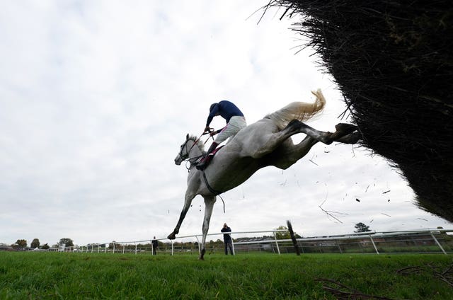 Snow Leopardess and Aidan Coleman in full flight at Bangor