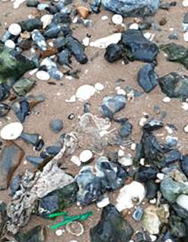 Litter at Botany Bay, Broadstairs