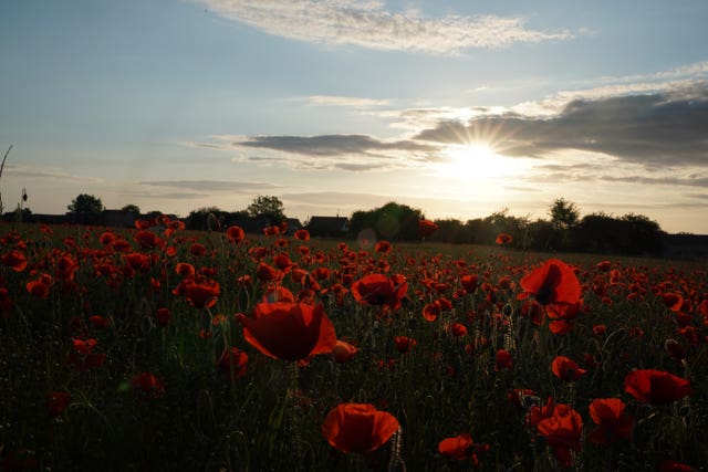 D-Day 75th anniversary