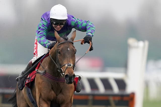 Thyme Hill is set for another clash with 2019 Stayers' Hurdle winner Paisley Park at Cheltenham next month