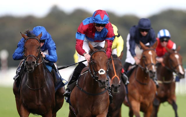 Powerful Breeze wins the May Hill Stakes at Doncaster