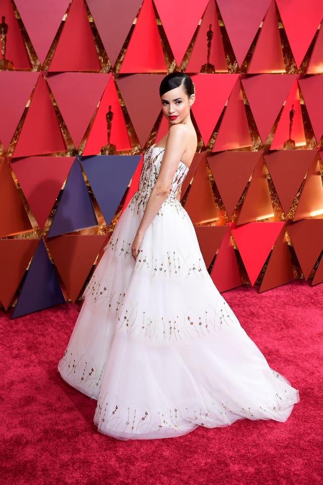 The 89th Academy Awards – Arrivals – Los Angeles