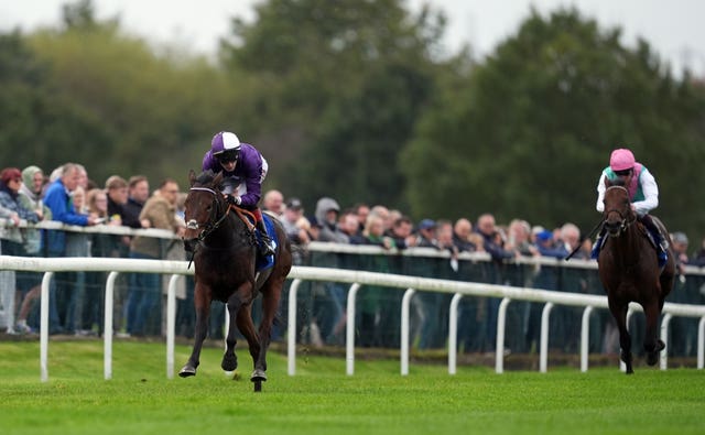 Tuscan Hills is unbeaten