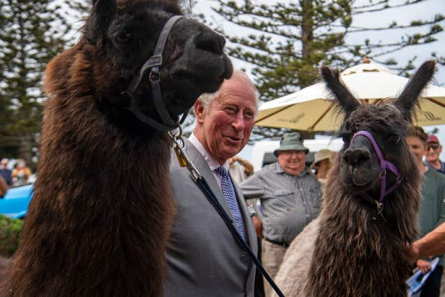 Royal visit to New Zealand – Day Seven