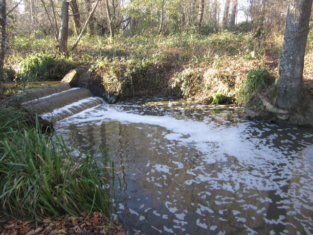 College fined �50,000 for polluting stream