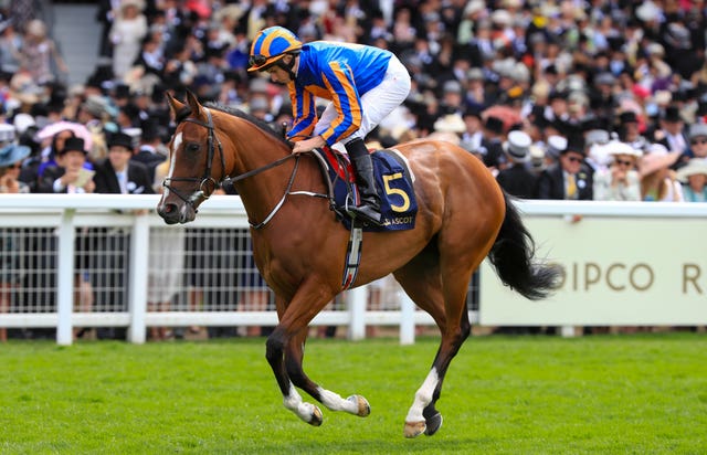 Clemmie is one of three Aidan O'Brien-trained runners in the Matron Stakes
