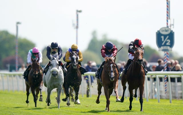 Runners coming down the straight in the Middleton Stakes