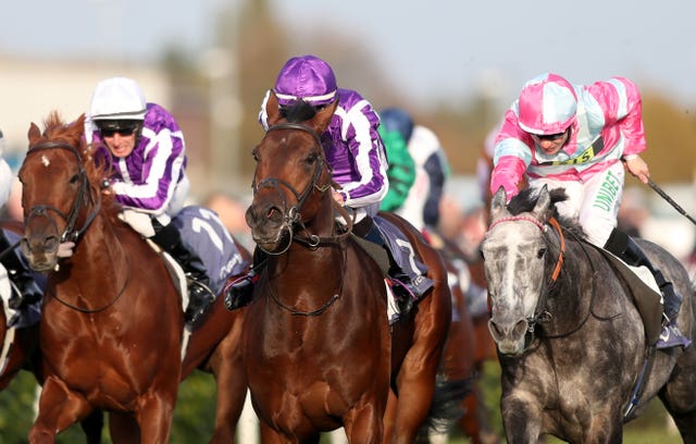 Magna Grecia (centre) was a game winner at Doncaster