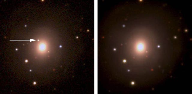 Gold-producing star collision