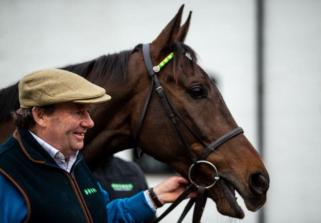 Nicky Henderson with Buveur D'Air at his Seven Barrows yard in Lambourn