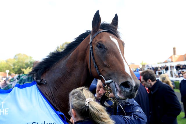 Darkness Falls enhanced his reputation at Newmarket 