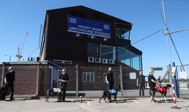 Greyhound racing