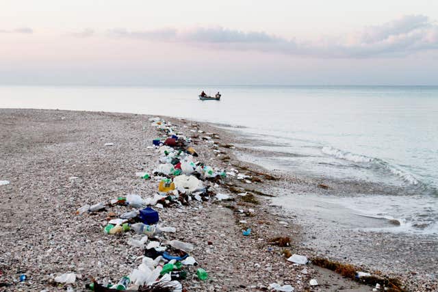 Plastic waste ends up in the oceans where it harms wildlife (Timothy Townsend/PA)