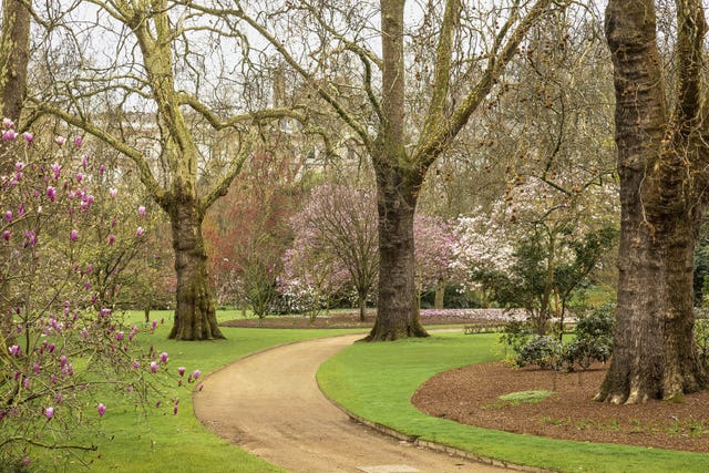 Buckingham Palace Summer Opening