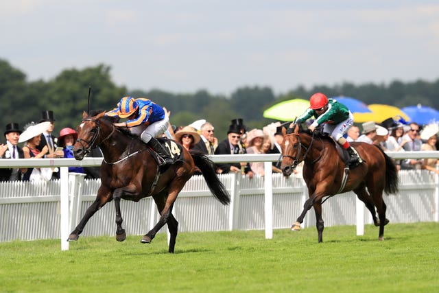 Order Of St George is on track to reclaim his Gold Cup crown