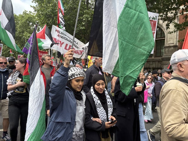 Pro-Palestine marchers in central London