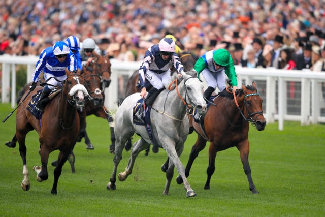 Gallant grey Lord Glitters has proven to be a real money-spinner for connections