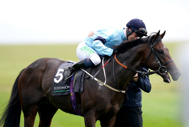 Royal Patronage after winning the Royal Lodge at Newmarket