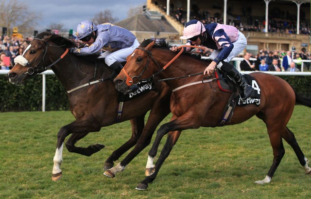 Gabrial beat a classy sort in Mondialiste to win the Lincoln