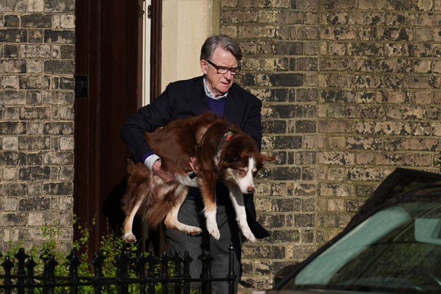 Lord Mandelson carrying a dog from his home