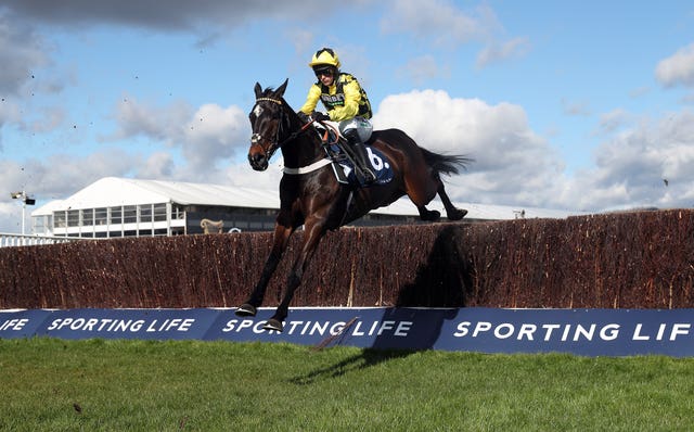 Shishkin heads the Champion Chase market