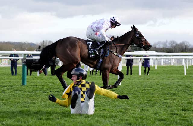 State Man's rider Paul Townend on the ground as Golden Ace goes on to win the Champion Hurdle at Cheltenham