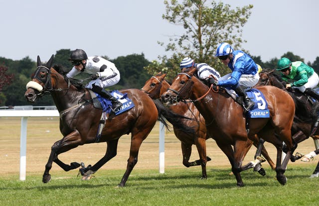 Judicial was a winner at Sandown back in July