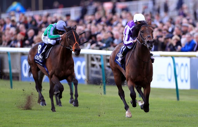 Winner of the 2000 Guineas at Newmarket, Magna Grecia is heading for the Irish Champion Stakes