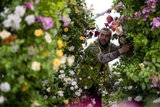 RHS Chelsea Flower Show 2024