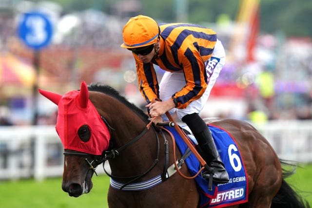 Dancing Gemini ran in the Derby last season