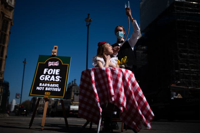 Foie gras protest