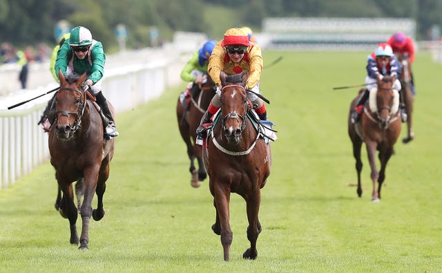 Gold Mount impressed in victory at York
