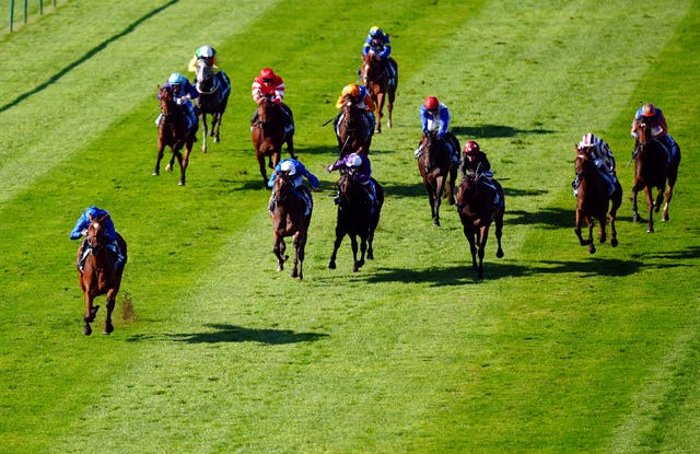 Verse Of Love (left, blue silks) was in a class of her own on debut