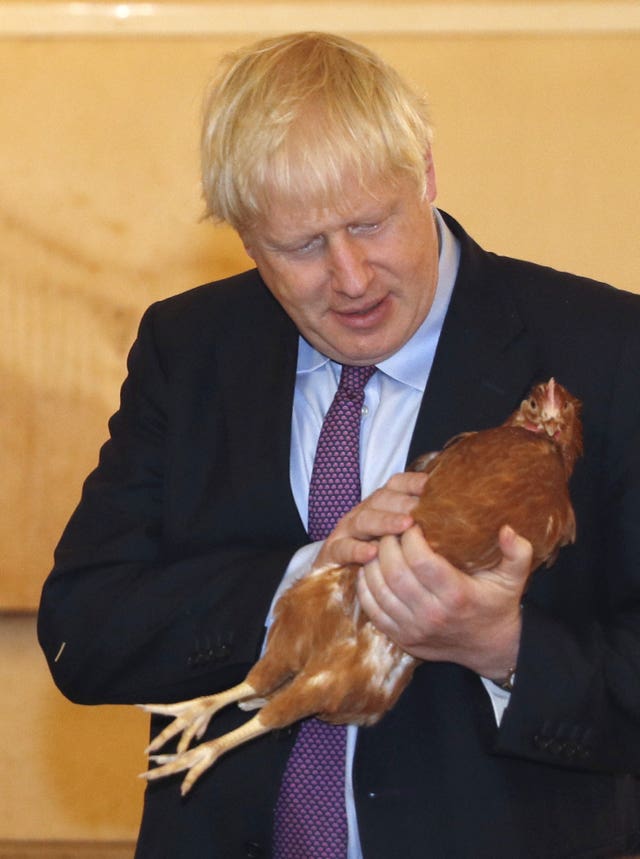 Boris Johnson holding a chicken