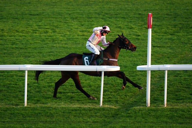 Festival Trials Day – Cheltenham Races