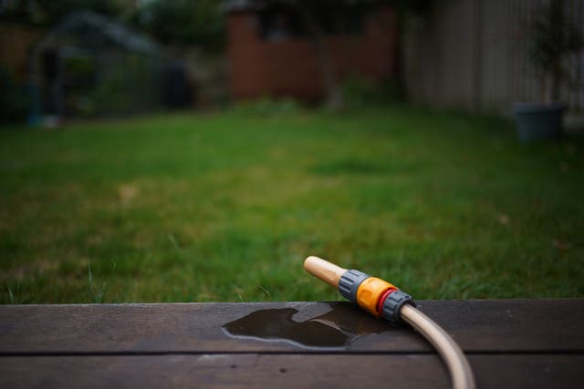 Summer weather Aug 3rd 2022
