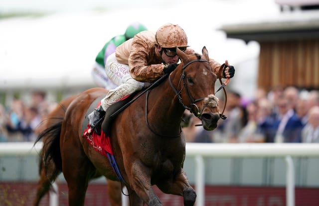 Nymphadora will also represent St Albans Bloodstock at Newbury