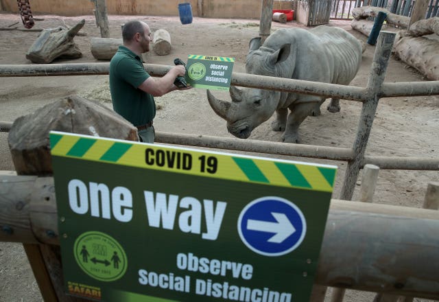 Rhino yard