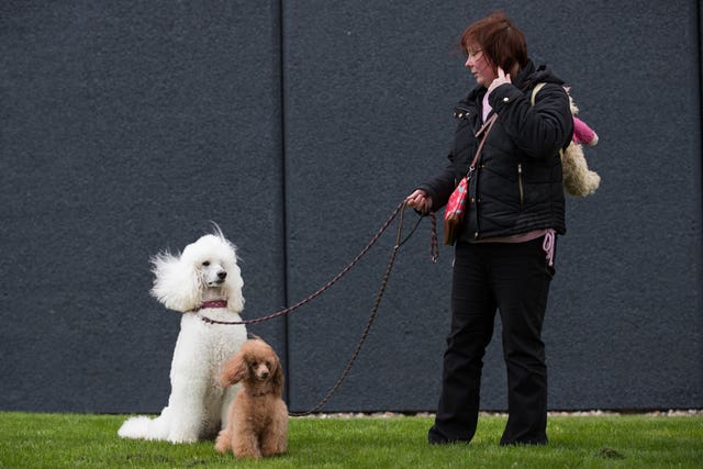 Crufts Dog Show