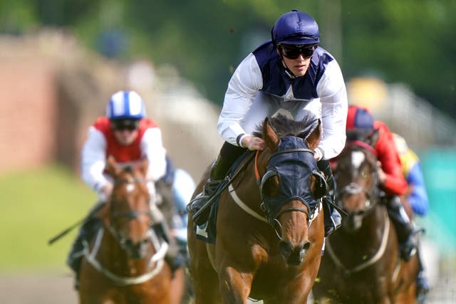 Democracy Dilemma looks like having a date at Ascot