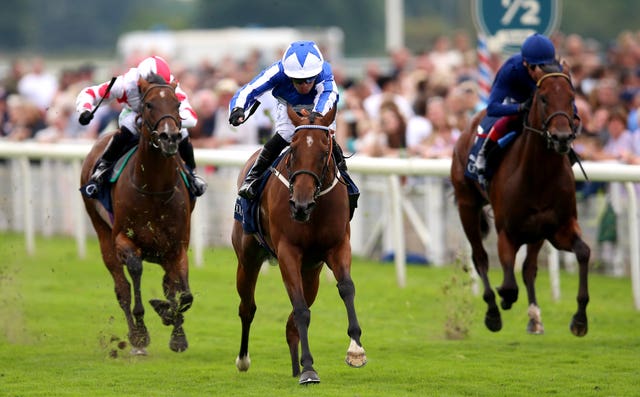 Golden Pal (right) in action at York last year