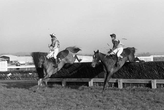 Bregawn (left) won the Gold Cup for Graham Bradley and Michael Dickinson