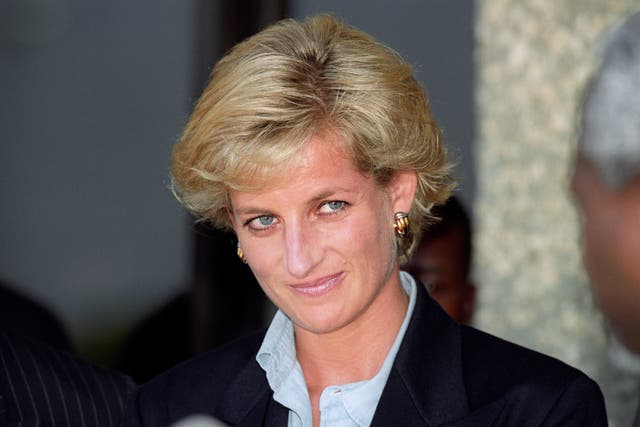 William and Harry's mother Diana, Princess of Wales, who was killed in a car crash in 1997