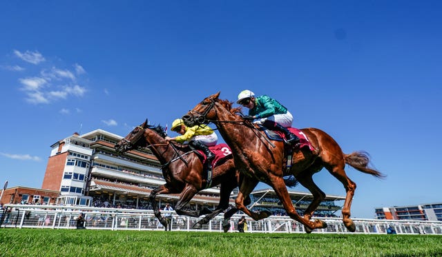 Scope (right) is also set to miss the Ladies' Day feature on Thursday