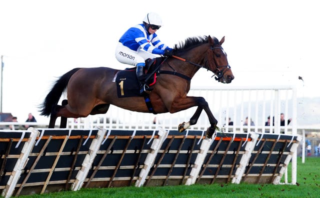 Fasol shone under Olive Nicholls