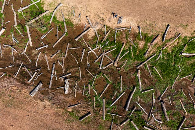 Holnicote river flood plain