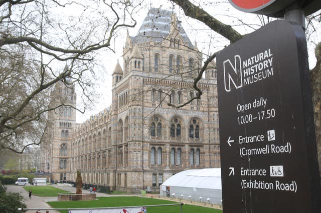 The Natural History Museum